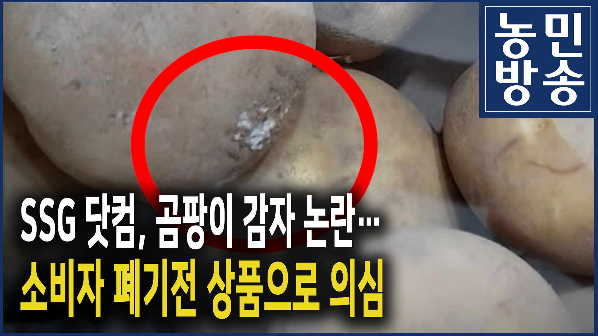 정용진 부회장님, 곰팡이 감자가 왔어요…소비자 폐기전 상품으로 의심