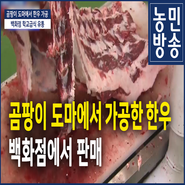 곰팡이 도마에서 가공한 한우 백화점에서 판매