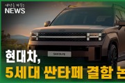 현대차, 5세대 싼타페 결함 논란